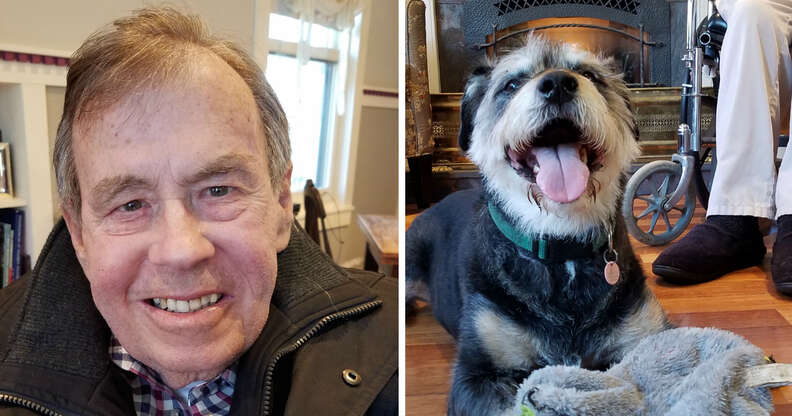 Senior dog finds new home thanks to his guardian's last wish