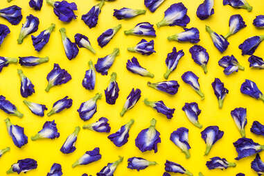 butterfly pea flowers yellow background tea leaves teas purple blue color changing dok anchan thailand drinks