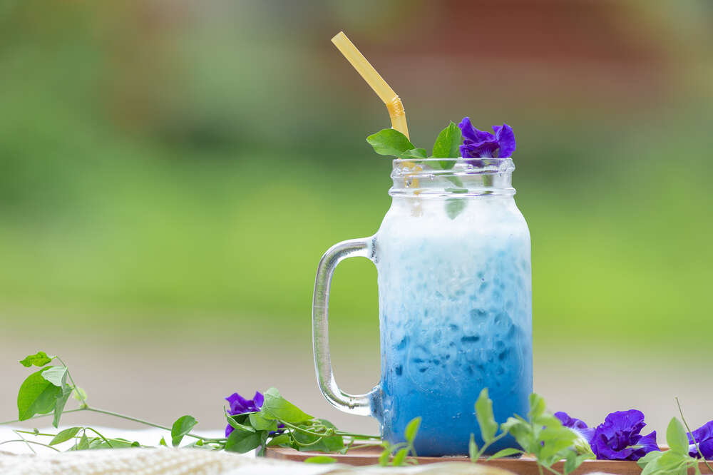 Butterfly Pea Flower Bubble Tea (Butterfly Pea Flower Milk Tea