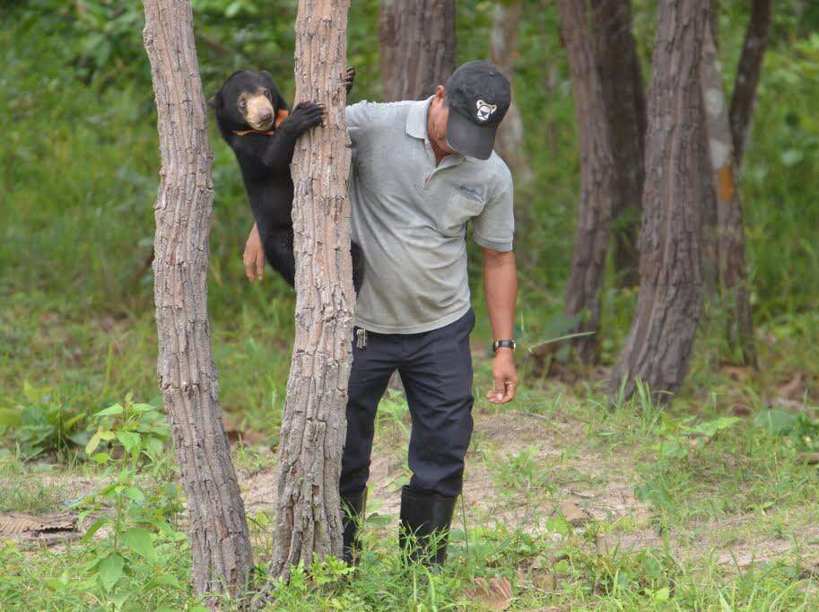 bear rescue cambodia