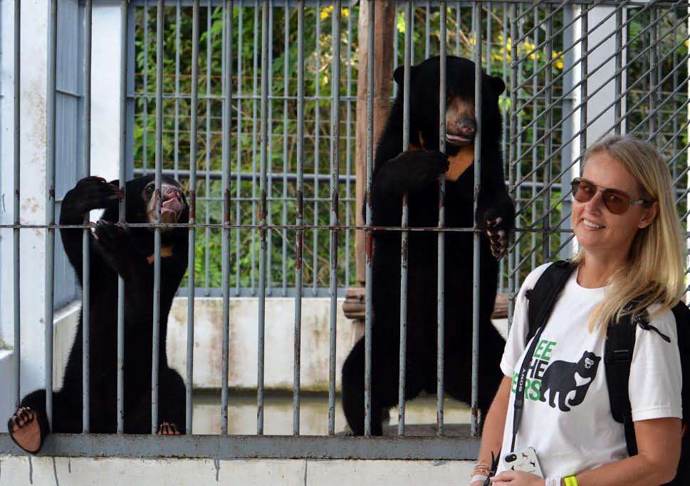 bear rescue cambodia