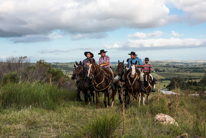 people riding horses up a grassy hill