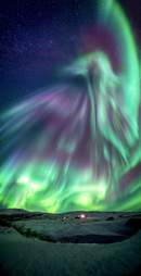 dragon aurora