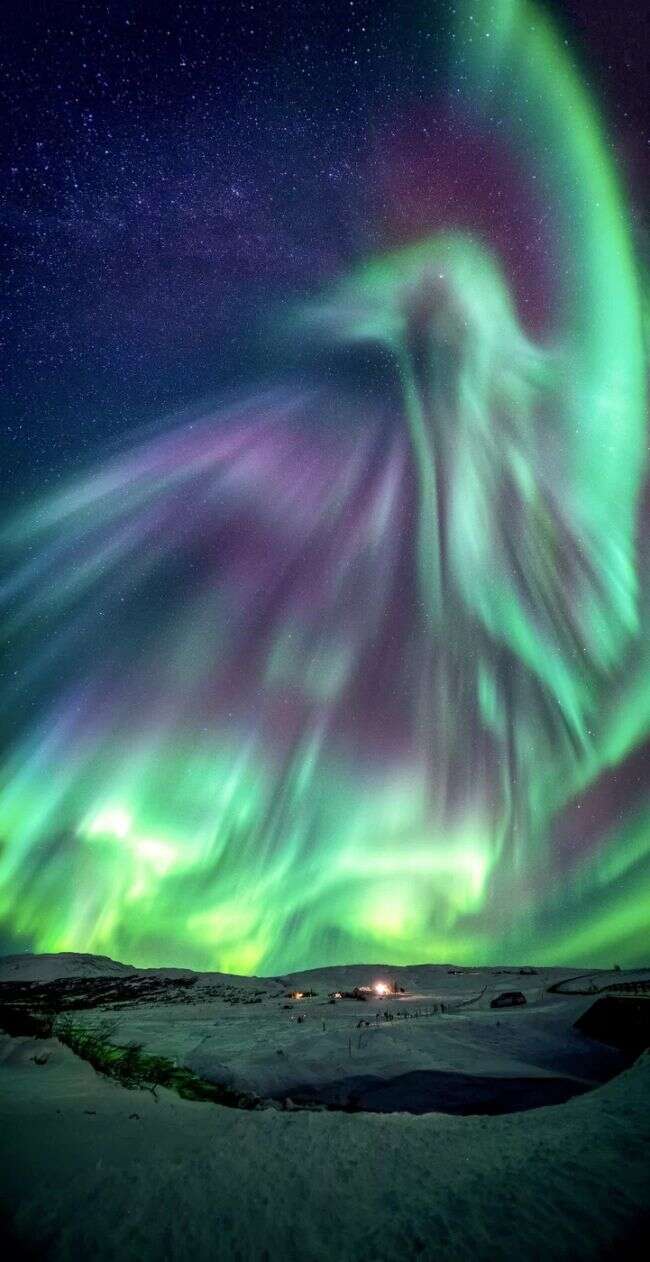 dragon aurora