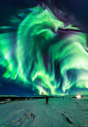 dragon aurora