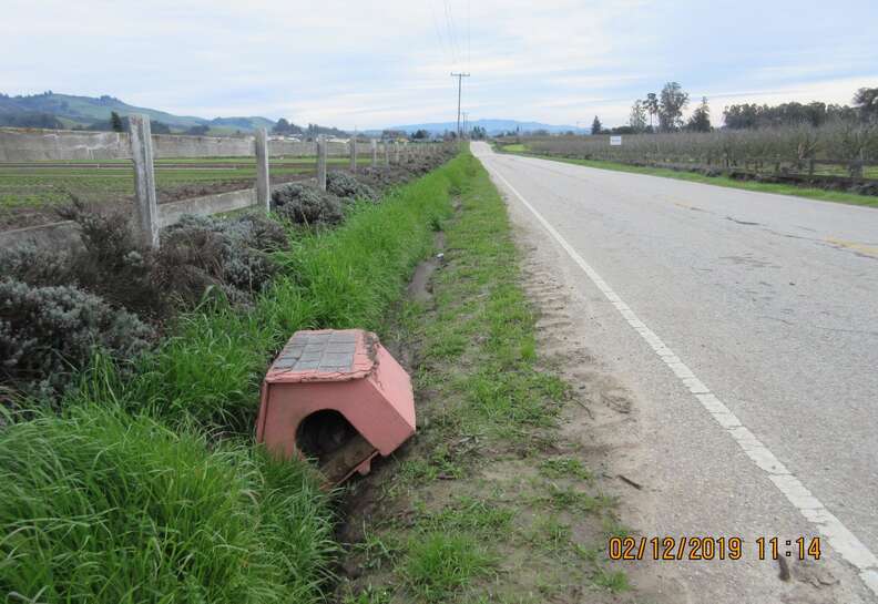 Pink dog house abandoned in Watsonville, CA