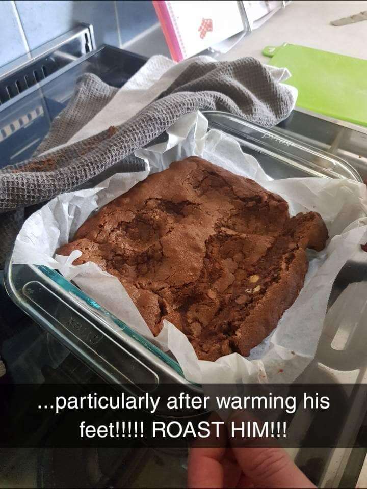 cat naps on brownies