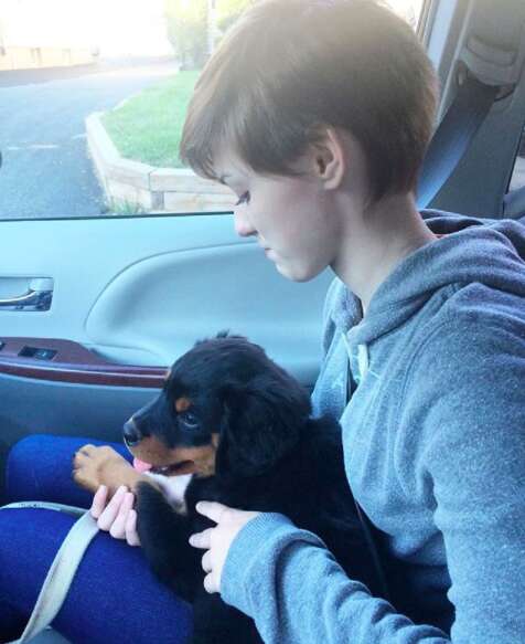 Gus the Rotweiller puppy on his way home