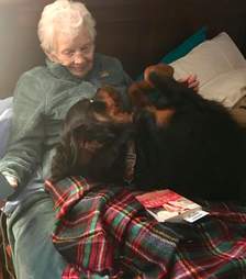 Rottweiler snuggles grammy in bed
