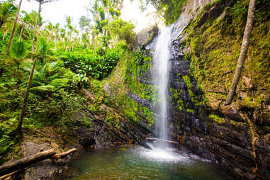 El Yunque juan diego falls