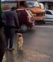 Dog holding owner's hand while crossing the street in Nepal