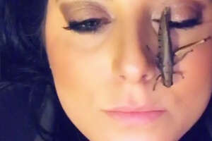 Woman Rescues A Grasshopper And Gives Her The Best Life Ever  