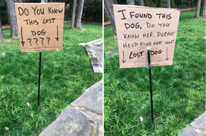 Guy holding a lost dog sign