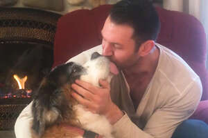 People Give Their Rescue Pets the Best Valentines