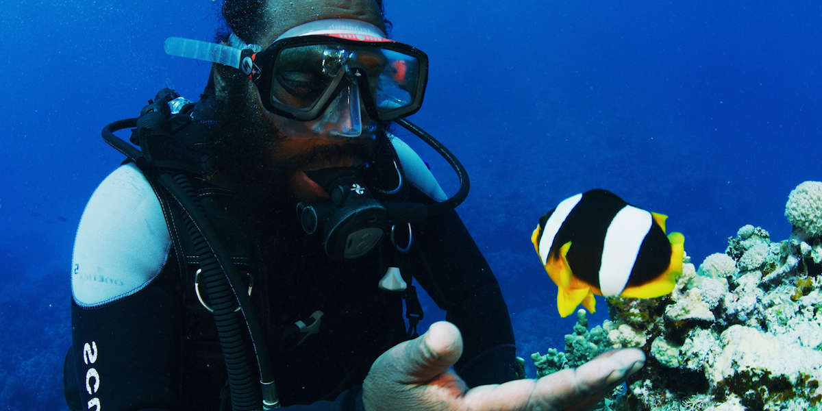 Diver And Fish Have Been Friends For 10 Years Videos The Dodo