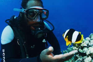 Diver And Fish Have Been Friends For 10 Years