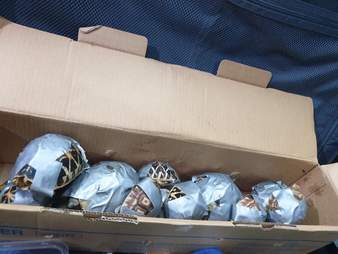 Suitcases seized in the Philippines with turtles inside