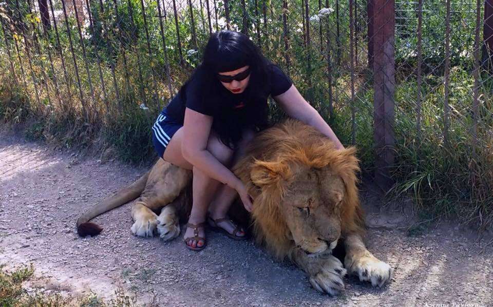 lion safari zoo crimea