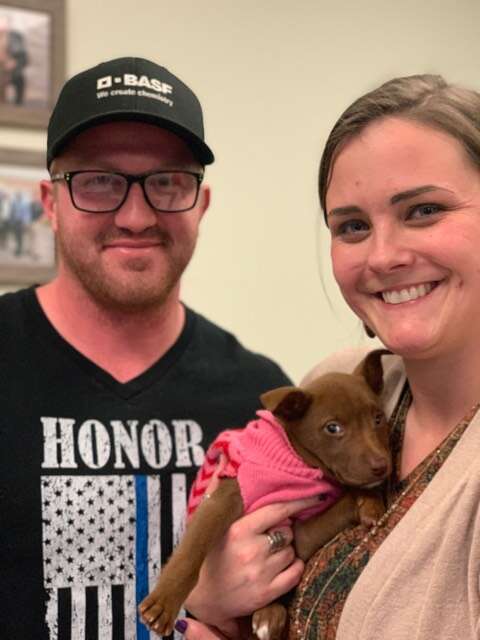 dog rescue puppy smile