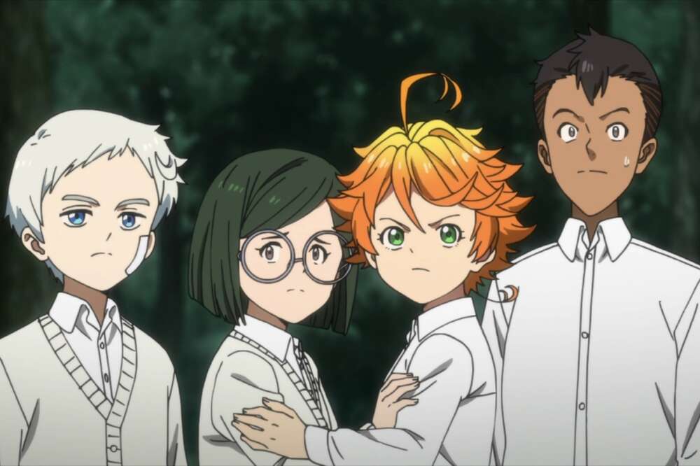 The Promised Neverland Characters - Paint By Number - Paint by numbers for  adult