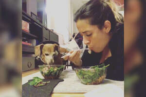Dog And Her Mom Have The Sweetest Dinner Routine