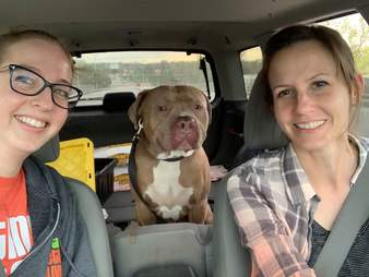 lost dog gets photoshoot