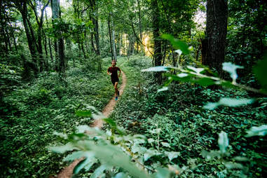 Verdant trails and hikes are within arms-reach in Asheville.Verdant trails and hikes are within arms-reach in Asheville.