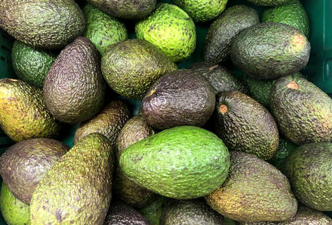 Avocados Recalled in 6 States Due to Listeria Contamination Fears ...