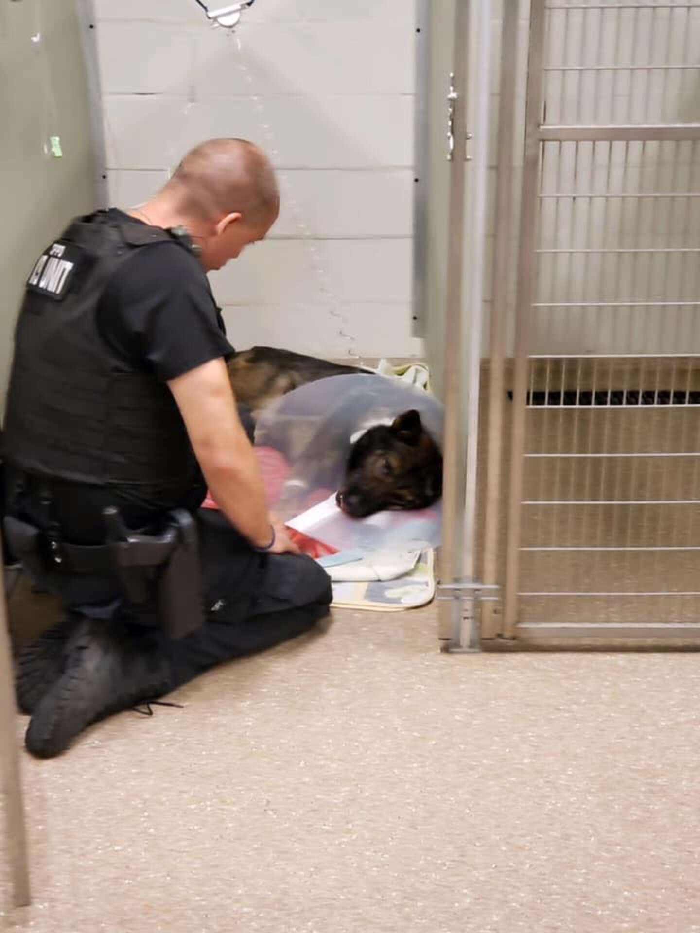 Florida Police Officer Comforts His Injured K9 Partner At The Hospital ...