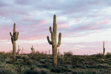 Best Cities To Visit In The Us Top Places To Visit For A Weekend Best Cities To Visit In The Us Top Places To Visit For A Weekend