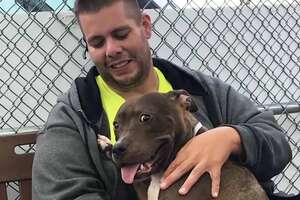 Guy Drives 2,800 Miles To Rescue A Pit Bull 