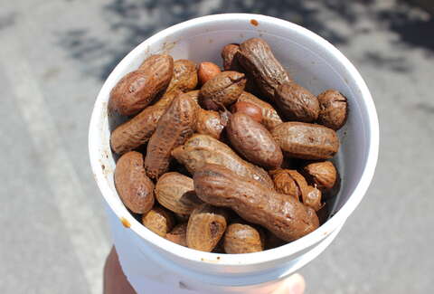 Boiled peanuts