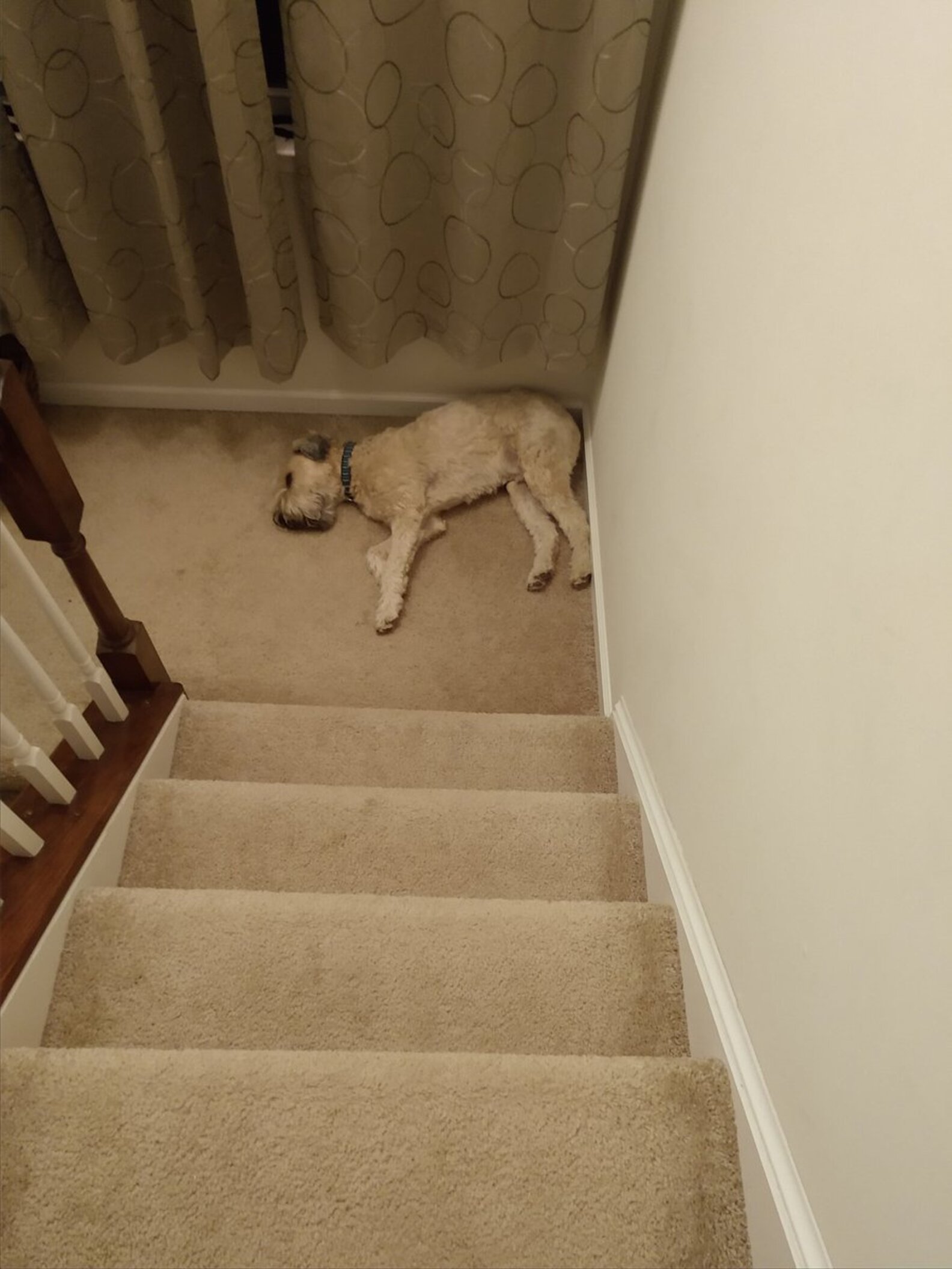 The Staircase Crime Scene Photos - azfduoi