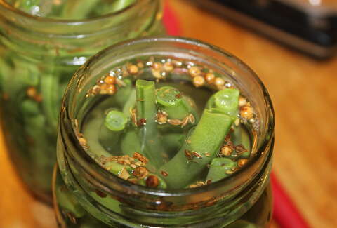 canning dilly beans