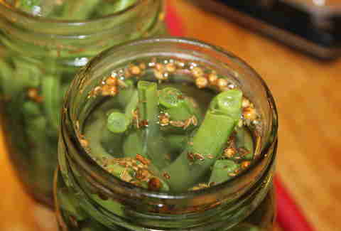 canning dilly beans