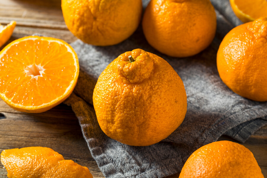 Do Sumo citrus mandarins deserve the hype?
