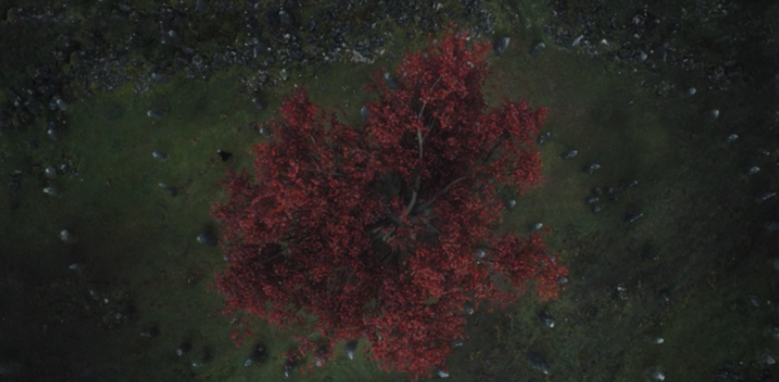 Game of Thrones Season 8 Premiere Why Do White Walkers Make Spirals