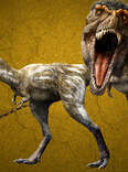 How Did the T.Rex Evolve to Be the Ultimate Predator?