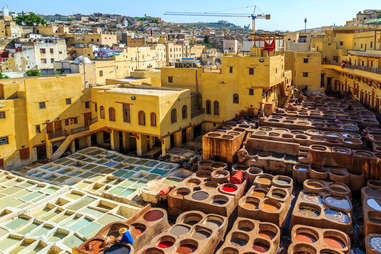 er dying in a traditional tannery in the city Fes, Morocco