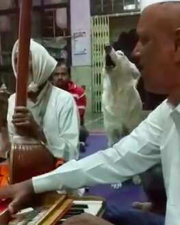 Dog who joins in temple chanting each week in India