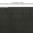 A Quick Flip Through the Redacted Mueller Report in Under 3 Minutes