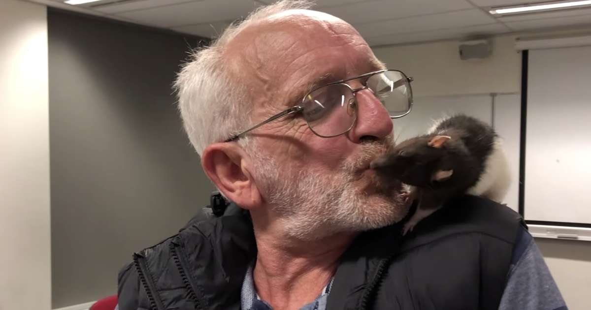 Police Reunite Homeless Man With His Pet Rat The Dodo