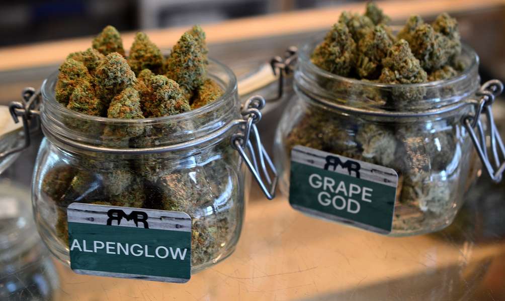 Best weed shops in colorado