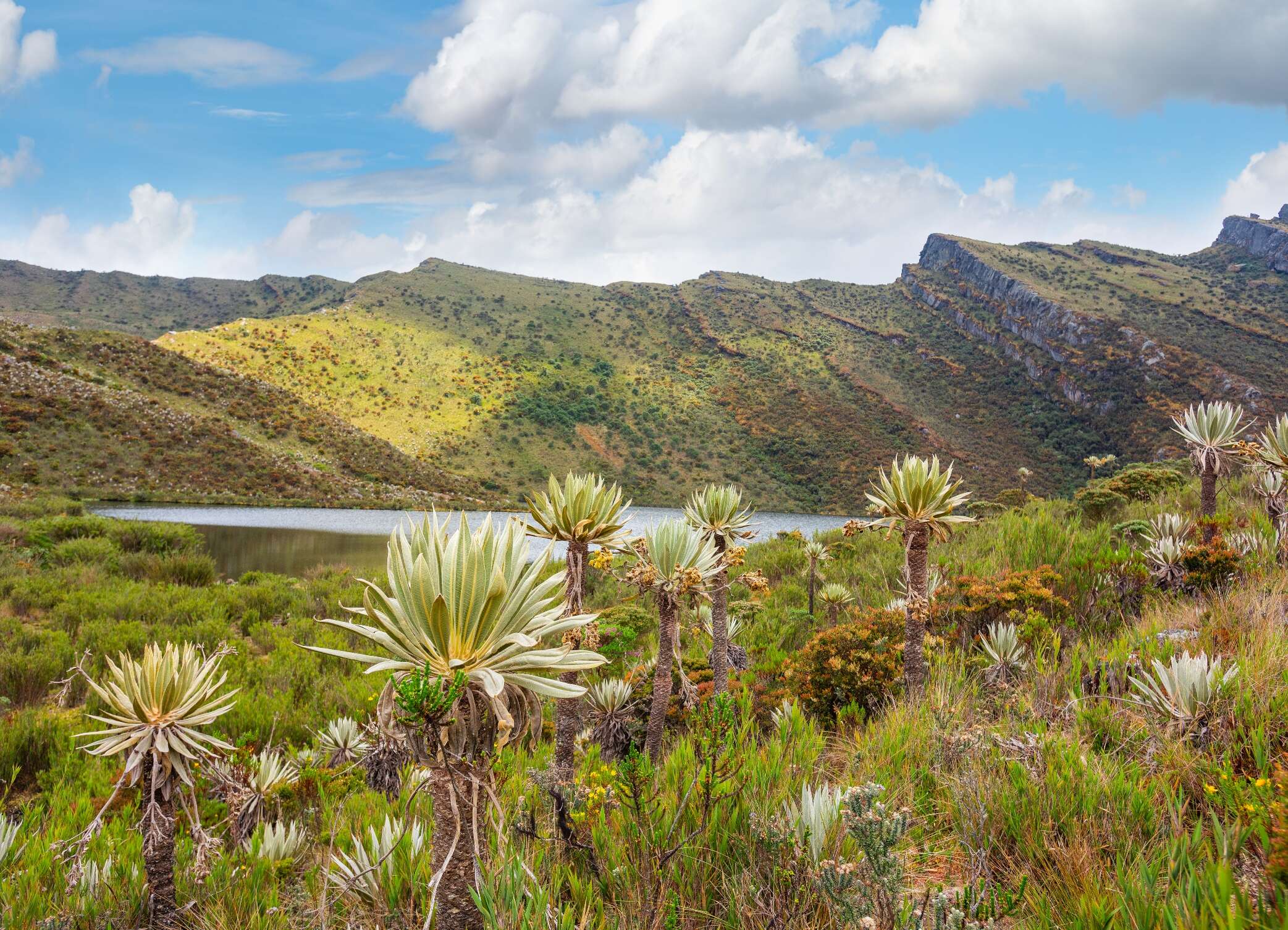 Chingaza National Park, Cundinamarca