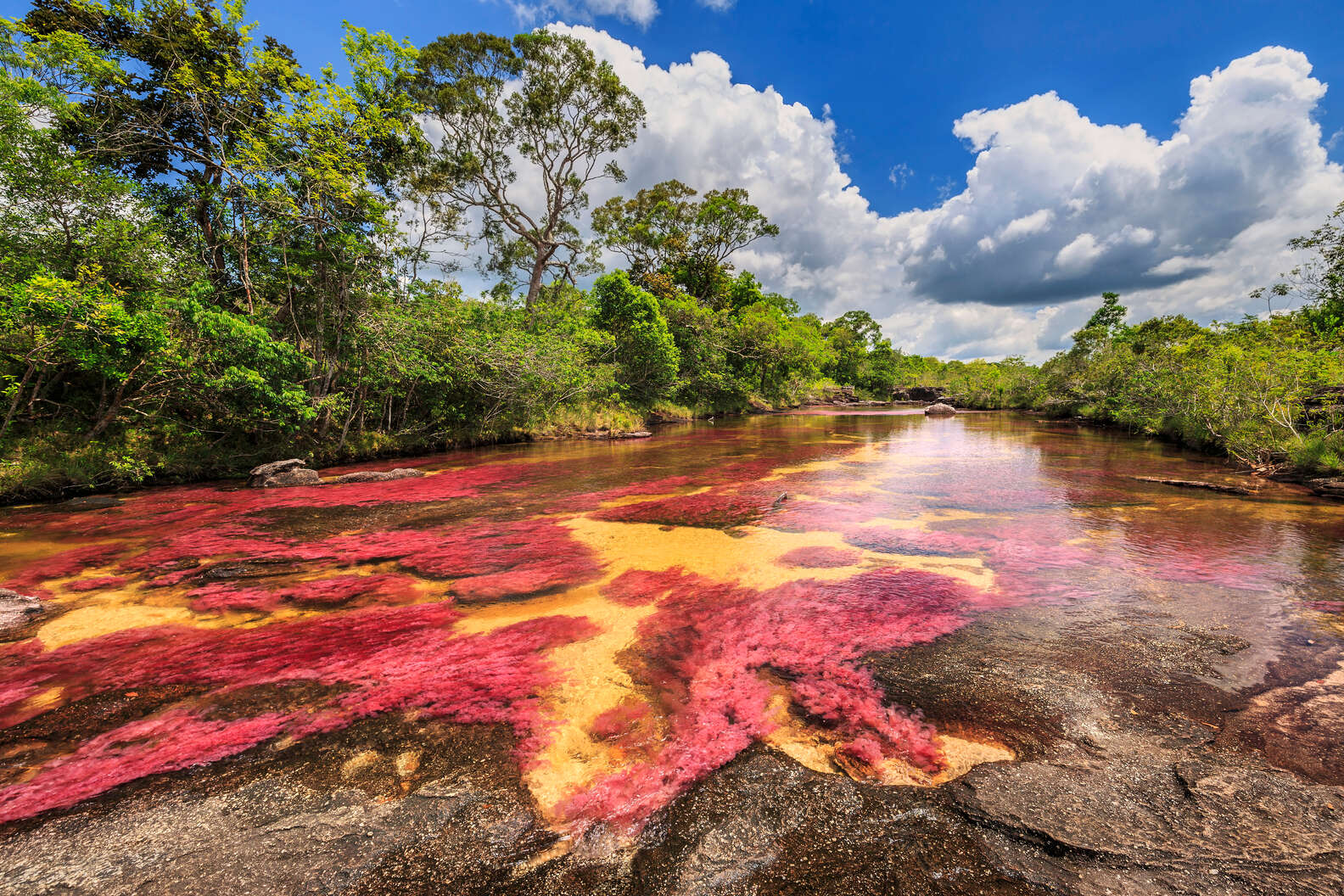 Image Colombie Best Places to Visit in Colombia: Beautiful Sights and Cities to See ...