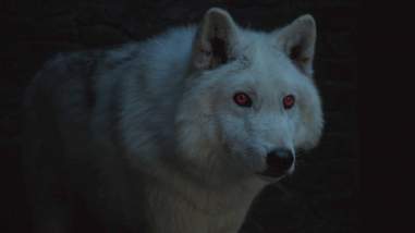 game of thrones ghost