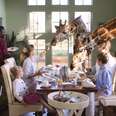 This Mansion Lets You Stay Among Giraffes