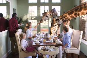 This Mansion Lets You Stay Among Giraffes