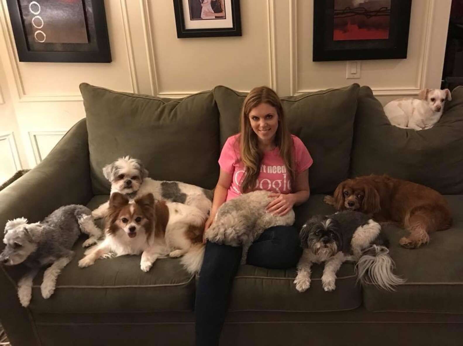 Perfect Photo Shows Pack Of 11 Little Dogs Sitting Still For Portrait ...