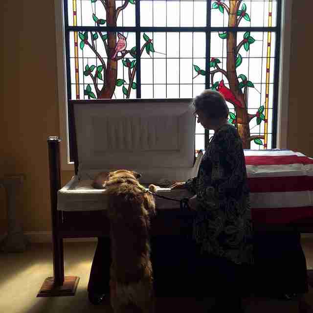 Heartbroken Dog Bids A Touching Farewell To His Best